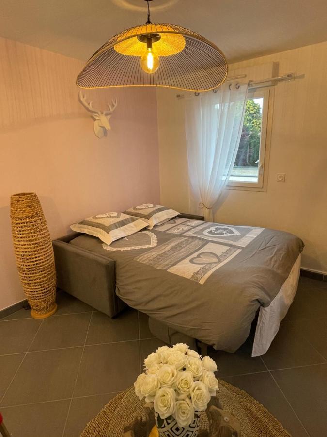 Studio Calme Et Cosy Saint-Julien-les-Villas Luaran gambar